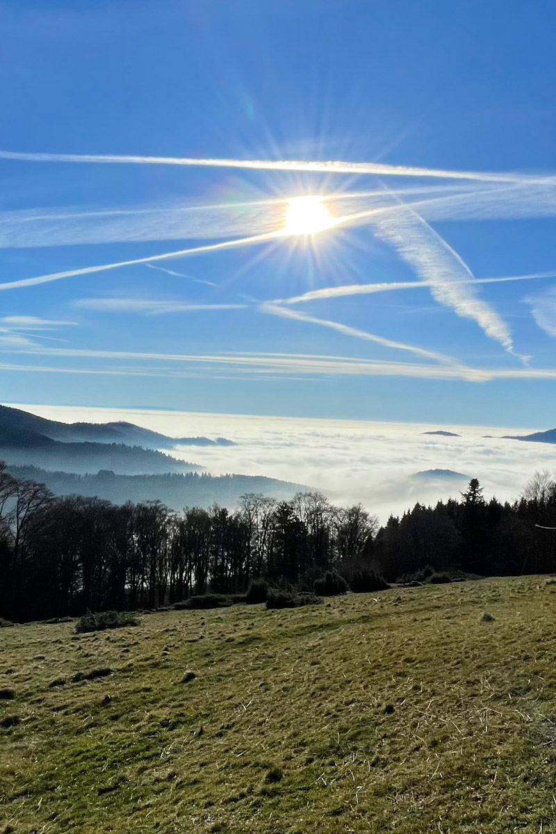 Photo de panorama des Vosges au-dessus du gîte « À toi l'Aviateur ! » - photo Nathalie Arnold