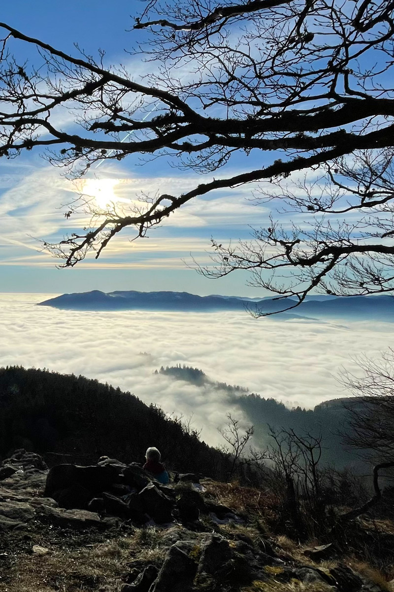 Photo de panorama des Vosges au-dessus du gîte « À toi l'Aviateur ! » - photo Nathalie Arnold